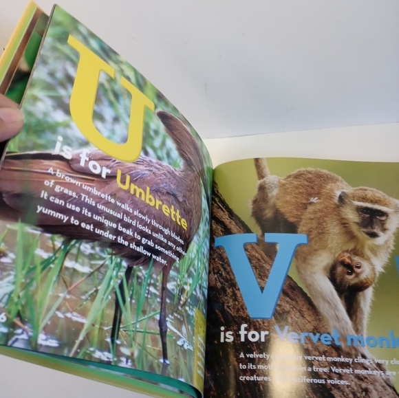 National geographic kids African animal alphabet book. Children's books - Picture 2 of 6